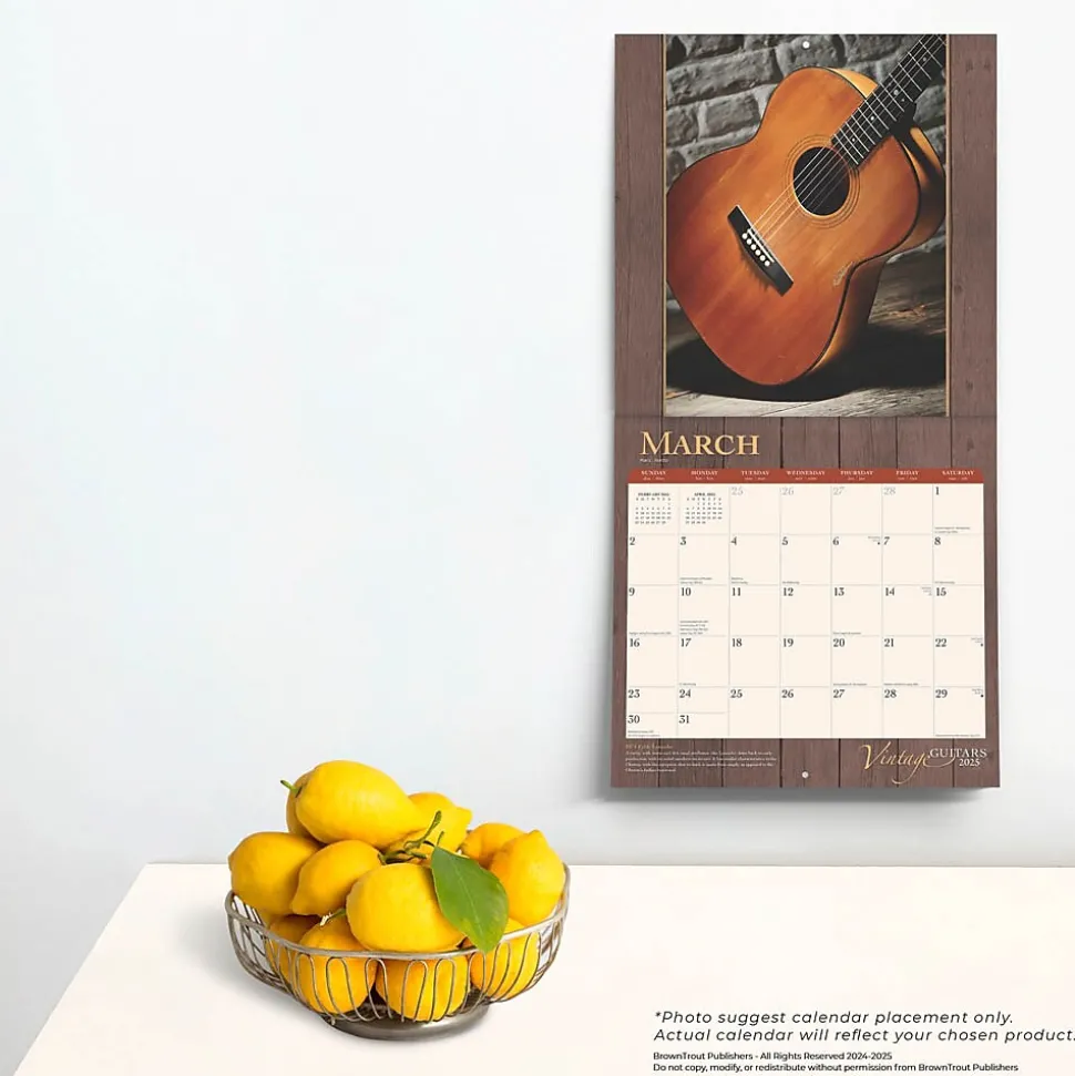 2025 BrownTrout Vintage Guitars 12" x 12" Monthly Wall Calendar (9781975478018)