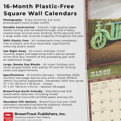 2025 BrownTrout Vintage Tractors 12