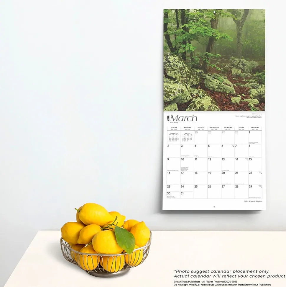 2025 BrownTrout Virginia Wild & Scenic 12" x 12" Monthly Wall Calendar (9781975475864)