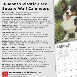 2025 BrownTrout Welsh Corgis 12