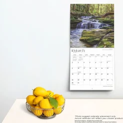 2025 BrownTrout West Virginia Wild & Scenic 12