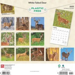 2025 BrownTrout White Tailed Deer 12" x 12" Monthly Wall Calendar (9781975477998)