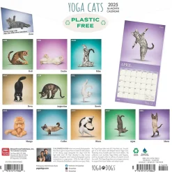 2025 BrownTrout Yoga Cats 12" x 24" Monthly Square Wall Calendar, (9781975479862)