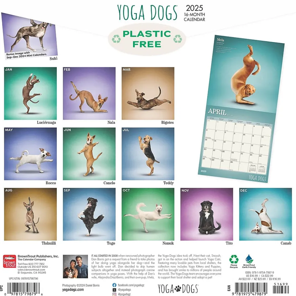 2025 BrownTrout Yoga Dogs 12" x 12" Monthly Wall Calendar (9781975479879)