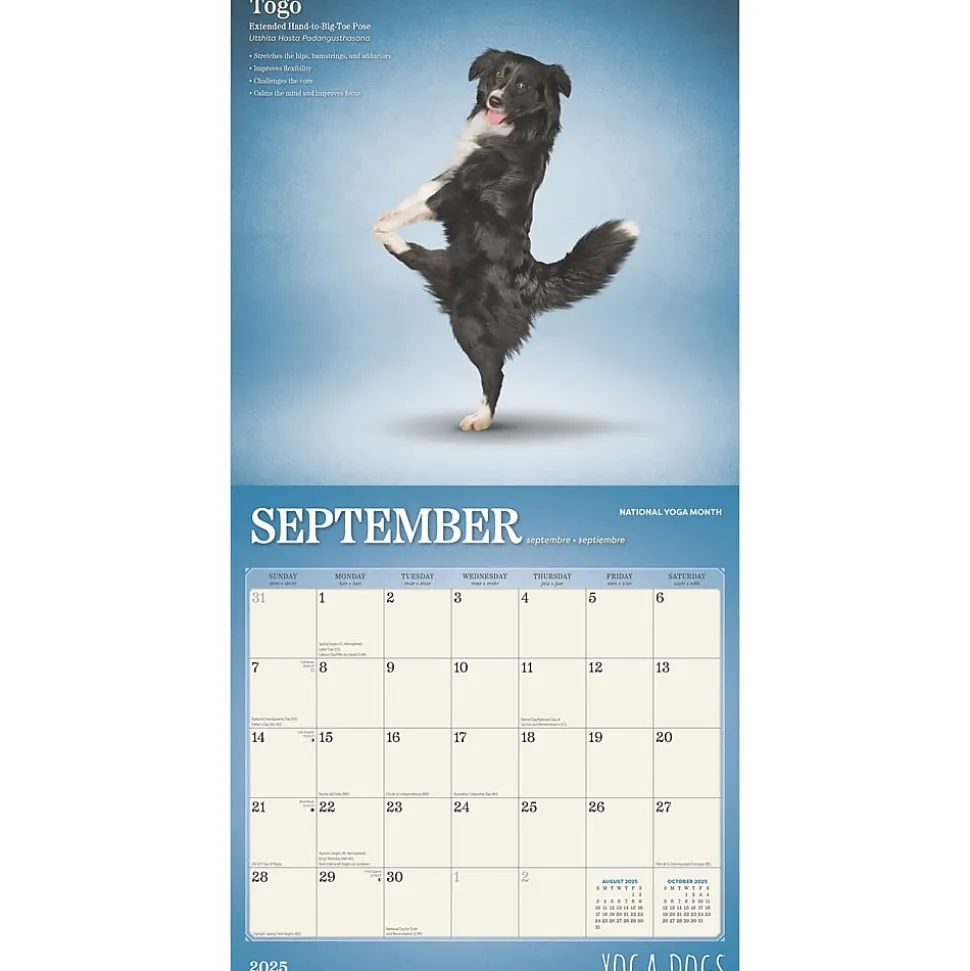 2025 BrownTrout Yoga Dogs 12" x 12" Monthly Wall Calendar (9781975479879)