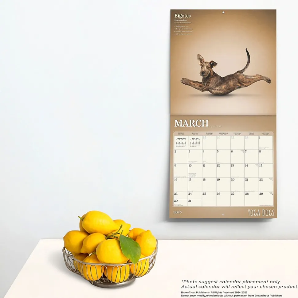 2025 BrownTrout Yoga Dogs 12" x 12" Monthly Wall Calendar (9781975479879)