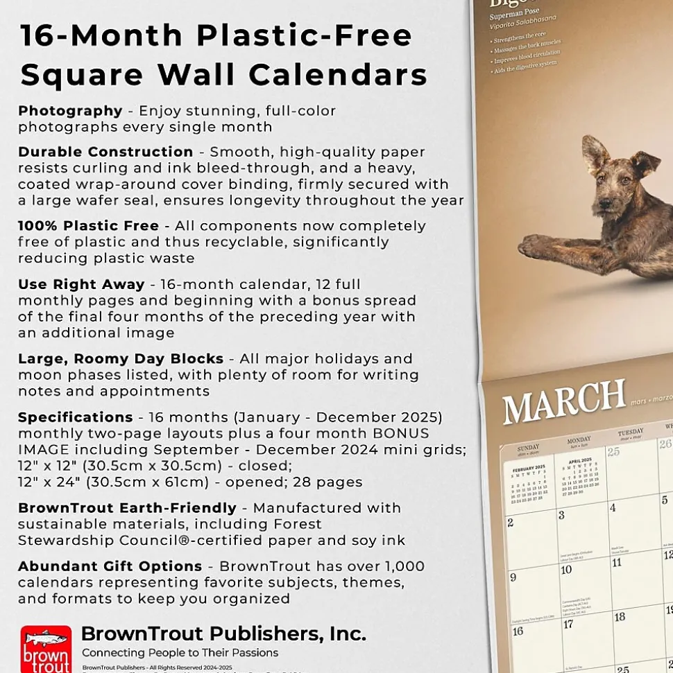 2025 BrownTrout Yoga Dogs 12" x 12" Monthly Wall Calendar (9781975479879)