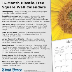 2025 Brush Dance Symmetry 12