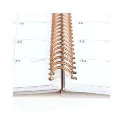 2025 Cambridge Mina 8.5