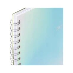 2025 Cambridge Ombre 8.5