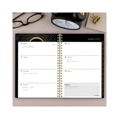 2025 Cambridge Radiate 5.5" x 8.5" Weekly & Monthly Planner, Poly Cover, Black/Gold (1725-200-25)