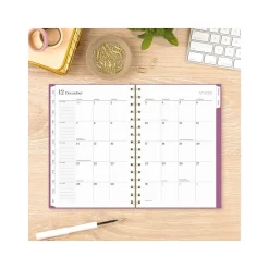 2025 Cambridge WorkStyle Balance 5.5