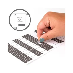 2024-2025 Cambridge WorkStyle Classic 5.5