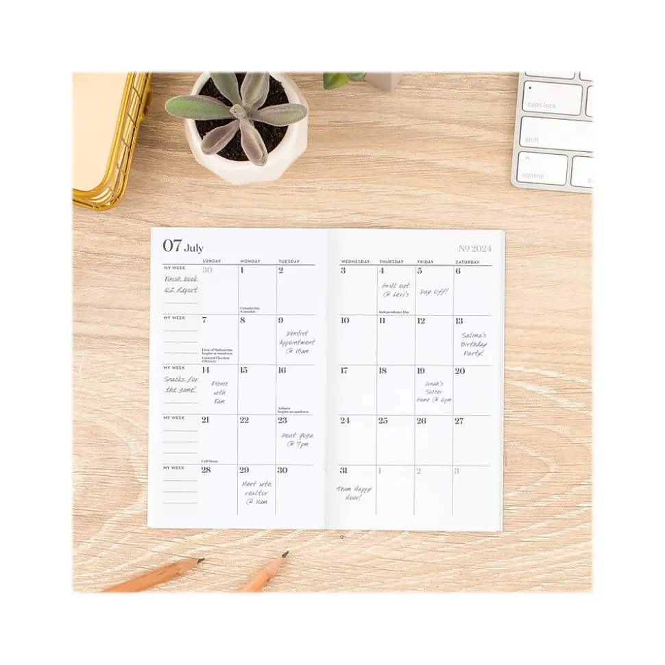 2024-2026 Cambridge WorkStyle Mellow Frost 3.5" x 6.25" Academic Monthly Planner, Paper Cover, Teal/Gold (1606-021A-46-25)