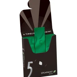 5 Gum Sugar Free Gum, Spearmint Rain, 10/Box (WMW51404)