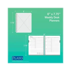 2024 Plato Crackled Blush 6
