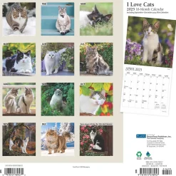 2025 Plato I Love Cats 12" x 12" Monthly Wall Calendar (9781975478957)