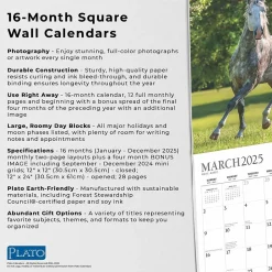 2025 Plato Magnificent Horses 12