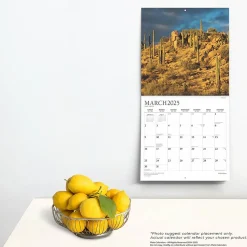 2025 Plato Motivation 12