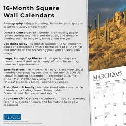 2025 Plato Motivation 12