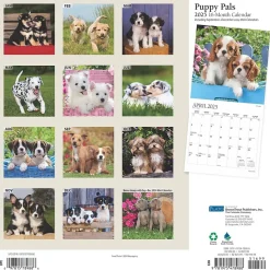 2025 Plato Puppy Pals 12" x 12" Monthly Square Wall Calendar (9781975478988)