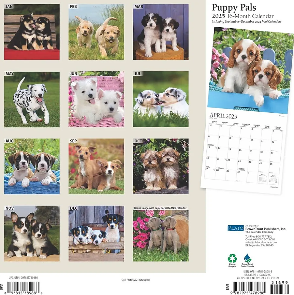 2025 Plato Puppy Pals 12" x 12" Monthly Square Wall Calendar (9781975478988)