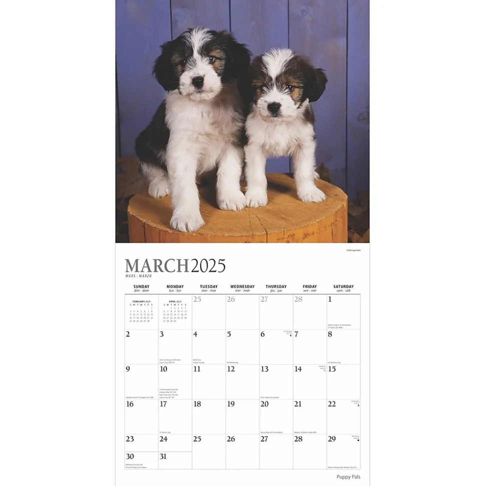 2025 Plato Puppy Pals 12" x 12" Monthly Square Wall Calendar (9781975478988)