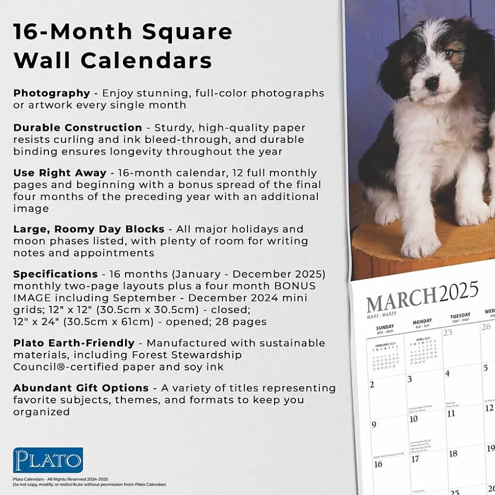 2025 Plato Puppy Pals 12" x 12" Monthly Square Wall Calendar (9781975478988)