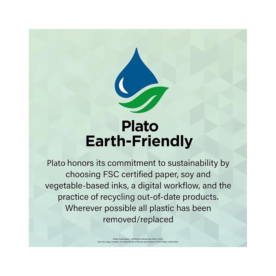 2024-2025 Plato Seaside Currents 6" x 7.75" Academic & Calendar Weekly Planner, Paperboard Cover, Multicolor (9781975480424)