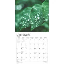 2025 Plato Simplicity 12