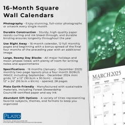 2025 Plato Simplicity 12