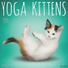 2025 Plato Yoga Kittens 12" x 12" Monthly Wall Calendar (9781975480134)