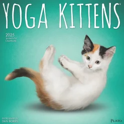 2025 Plato Yoga Kittens 12" x 12" Monthly Wall Calendar (9781975480134)