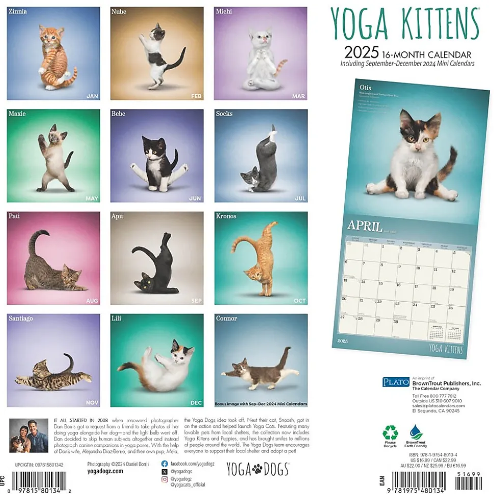 2025 Plato Yoga Kittens 12" x 12" Monthly Wall Calendar (9781975480134)