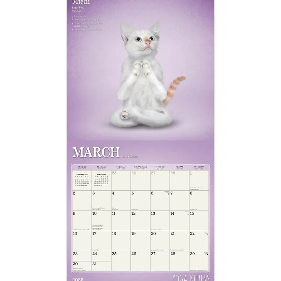2025 Plato Yoga Kittens 12" x 12" Monthly Wall Calendar (9781975480134)