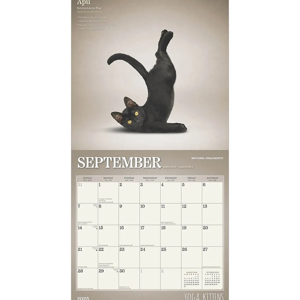 2025 Plato Yoga Kittens 12" x 12" Monthly Wall Calendar (9781975480134)