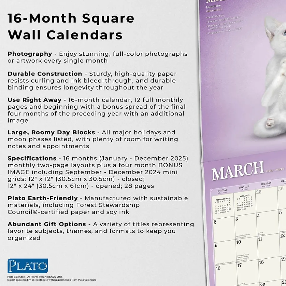 2025 Plato Yoga Kittens 12" x 12" Monthly Wall Calendar (9781975480134)