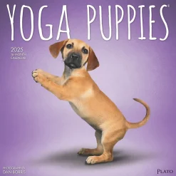 2025 Plato Yoga Puppies 12" x 12" Monthly Wall Calendar (9781975480141)