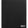 2025 Staples 7" x 9" Daily Appointment Book, Assorted Colors (ST12936-25)