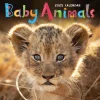 2025 TF Publishing 12" x 12" Baby Animals Wall Calendar (25-1000)