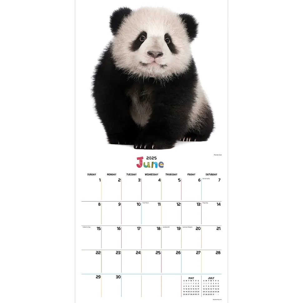 2025 TF Publishing 12" x 12" Baby Animals Wall Calendar (25-1000)