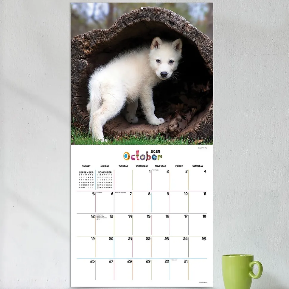 2025 TF Publishing 12" x 12" Baby Animals Wall Calendar (25-1000)