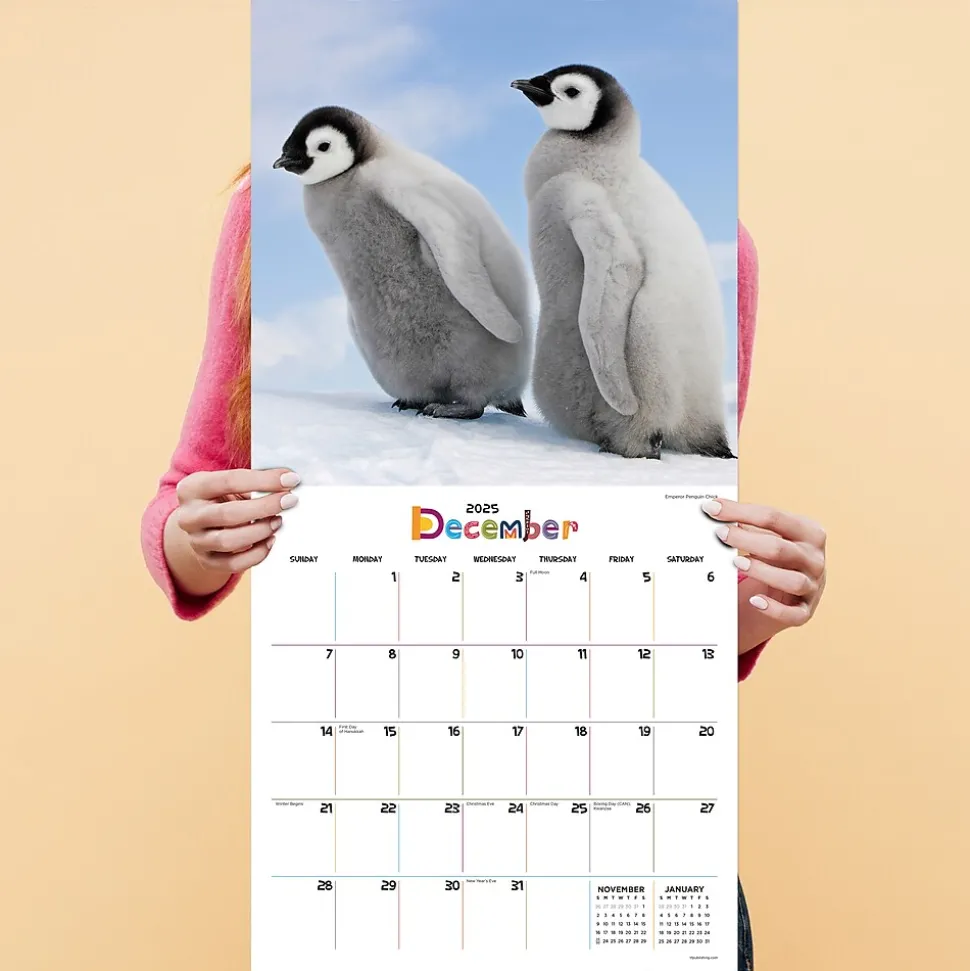 2025 TF Publishing 12" x 12" Baby Animals Wall Calendar (25-1000)