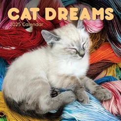 2025 TF Publishing 12" x 12" Cat Dreams Wall Calendar (25-1003)