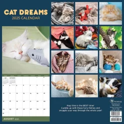 2025 TF Publishing 12" x 12" Cat Dreams Wall Calendar (25-1003)