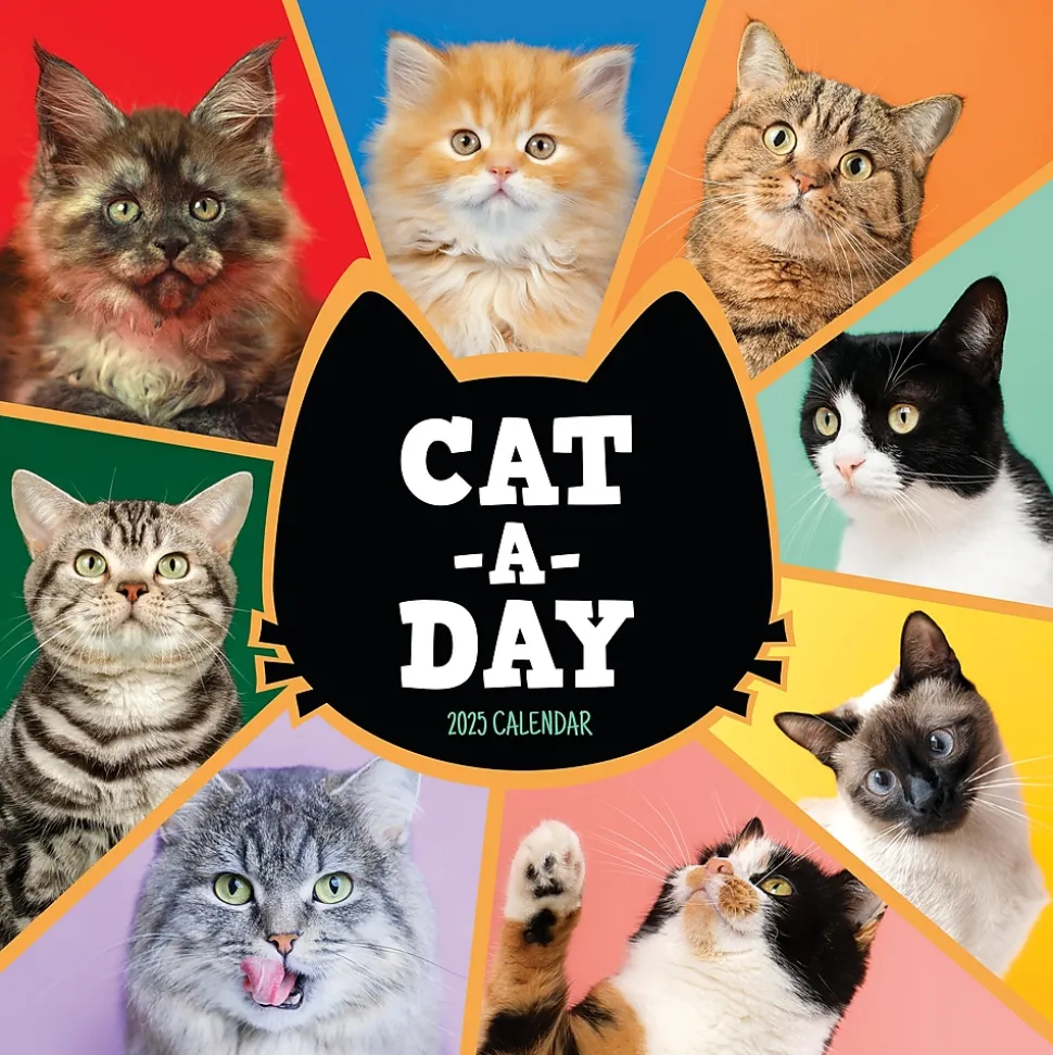 2025 TF Publishing 12" x 12" Cat-A-Day Wall Calendar (25-1002)