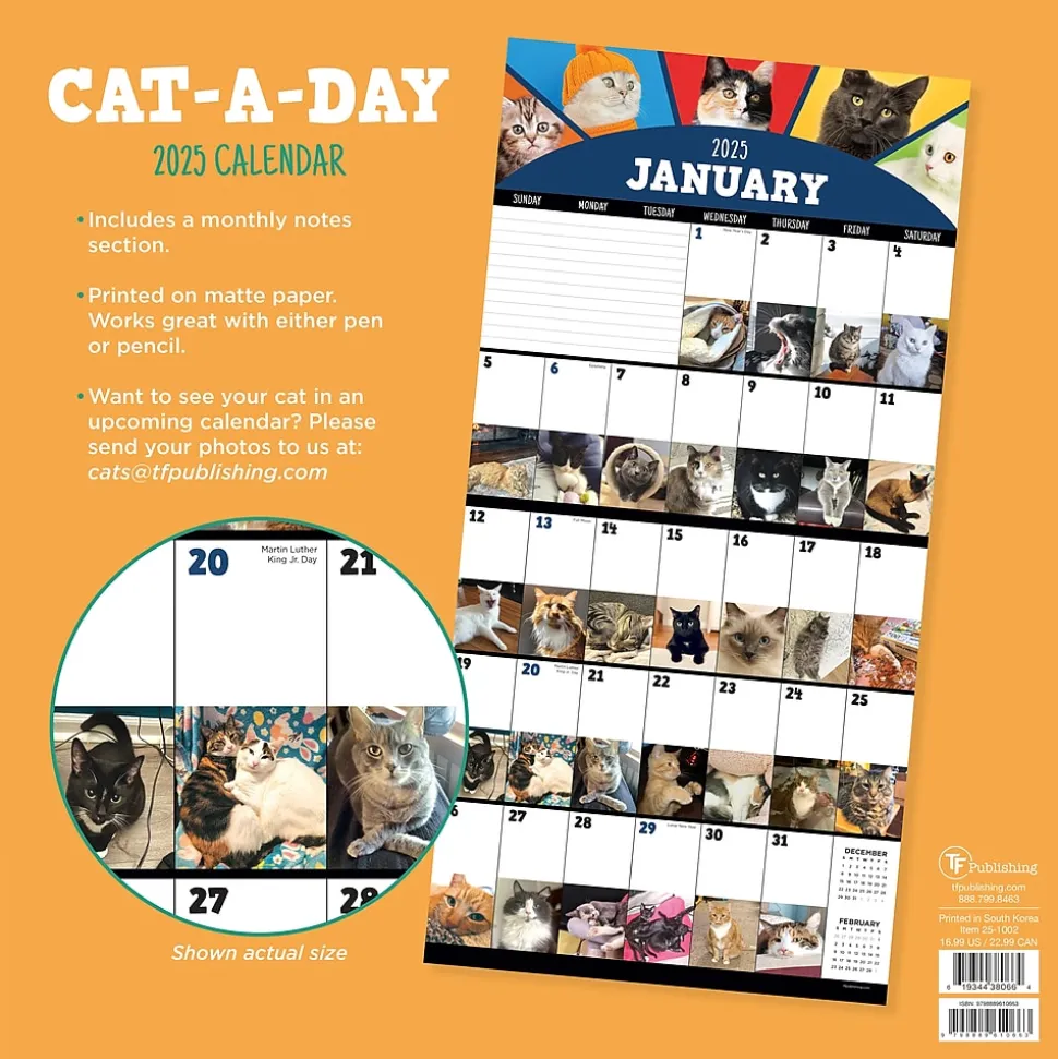 2025 TF Publishing 12" x 12" Cat-A-Day Wall Calendar (25-1002)