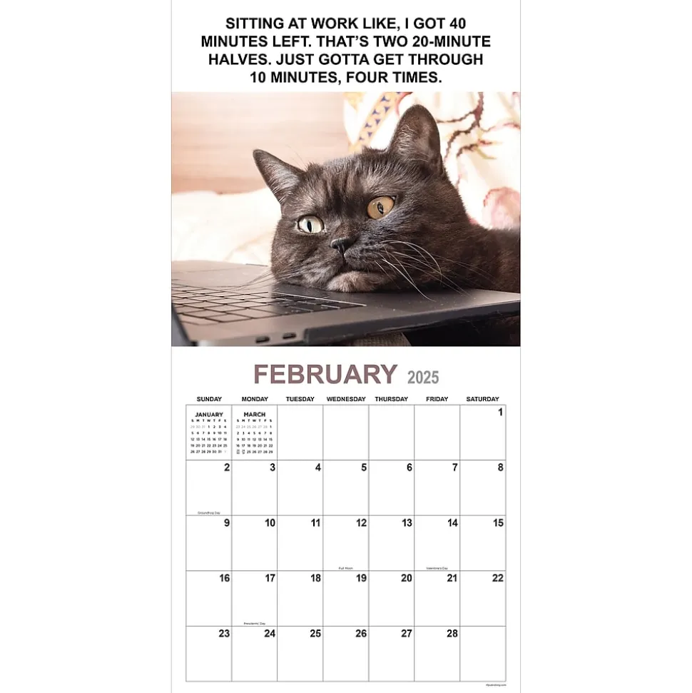 2025 TF Publishing 12" x 12" Corporate Cats Wall Calendar (25-1005)