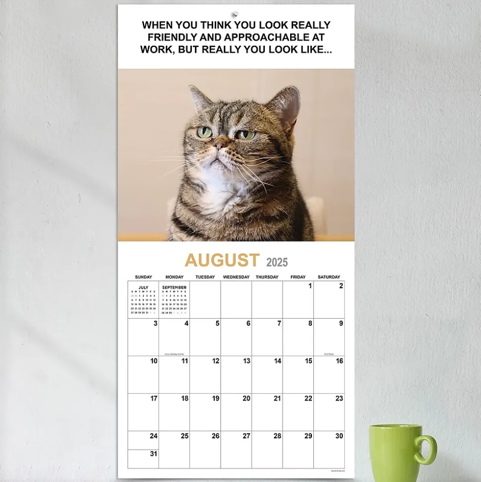 2025 TF Publishing 12" x 12" Corporate Cats Wall Calendar (25-1005)