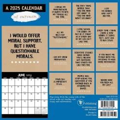 2025 TF Publishing Anti-Affirmations & Sarcasm 7" x 7" Monthly Wall Calendar (25-2100)